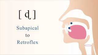 ɖ  voiced unaspirated subapical retroflex stop [upl. by Laurette]