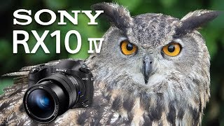 Sony RX10 Mk IV Review Ultimate Fixed Lens Camera [upl. by Krebs289]