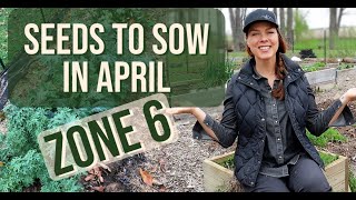 What to Sow from Seed in April  Zone 6 [upl. by Allets]