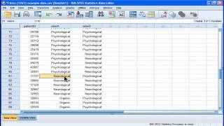 Kappa  SPSS part 1 [upl. by Aled]
