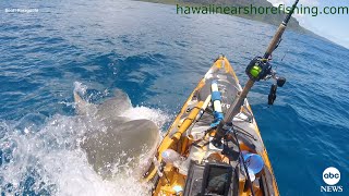 Shark rams kayak off Hawaii coast  ABC News [upl. by Soule]