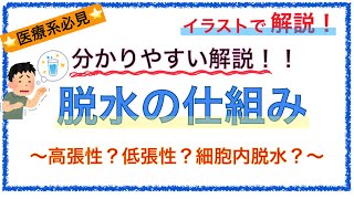 教科書をわかりやすく！「脱水の仕組み」〜高張性？低張性？細胞内液？簡単に解説！〜 [upl. by Rebor897]