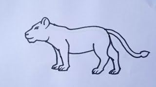 How to Draw a Lion [upl. by Naved]