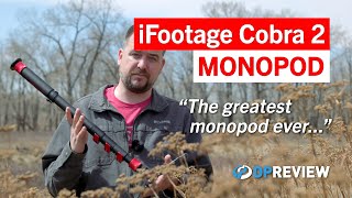 iFootage Cobra 2 LongTerm Review The Greatest Monopod In The History Of Ever [upl. by Punke]