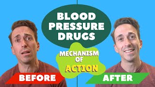 Blood Pressure Drugs  Mechanism of Action [upl. by Anidan]