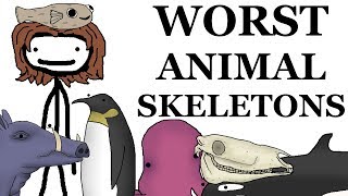 Top 10 Worst Animal Skeletons [upl. by Lemmuela995]