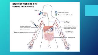 Principios Básicos de Farmacología [upl. by Sunderland]