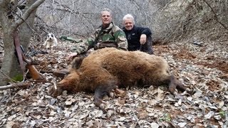 2012 WILD BOAR SANGLIER ATTILA HUNTING Chasse IN TAJIKISTAN by SELADANG [upl. by Adis511]