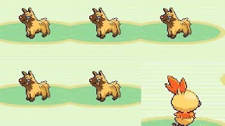 Live 5 Shiny Poochyena and Shiny Torchic 42280 SRs [upl. by Ahtamas]