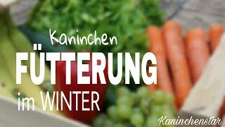 Unsere Kaninchenfütterung im Winter ❄🍇  Kaninchenstar [upl. by Sarette179]