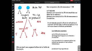 Ovogenèse résidanat oran [upl. by Occer2]