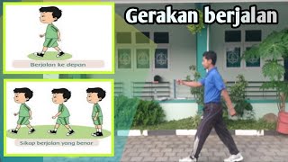 Gerak berjalan ke depan ke belakang ke samping Pjok kelas 2 SD Tema 1 Sub 1 Pb 2 [upl. by Navar]