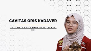 Video Pembelajaran  Cavitas Oris Kadaver oleh Dr drg Anne Handrini D MKes dkk [upl. by Persas]