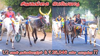 6சிவகங்கைபந்தயம்11022024VPhotography [upl. by Lapham848]