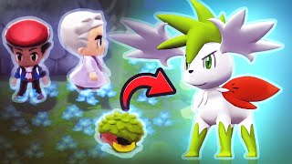 How To Get Shaymin in Pokemon Brilliant Diamond and Shining Pearl  Legendary Encounter Event [upl. by Twedy152]