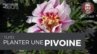 Tuto  Planter une Pivoine en racines nues [upl. by Felicle981]