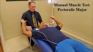 Manual Muscle Testing MMT Pectoralis Major Pec Major [upl. by Yolanthe488]