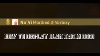 How to Display Clan  Group Tag in CSGO TUTORIAL [upl. by Cybil89]