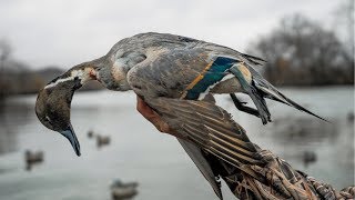 Duck Hunting my Fishing Pond Opening Day [upl. by Romaine]