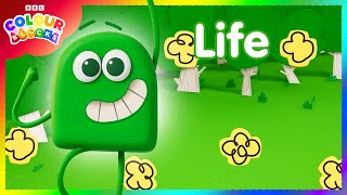 Green Means Life 🟢 Green compilation  Colours for Kids  colourblocks [upl. by Winwaloe]