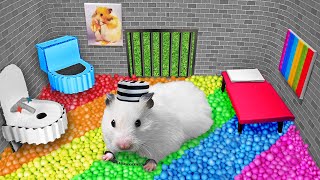 👮Hamster Escapes the Creative Maze for Pets in Real Life 🐹 [upl. by Arlinda]