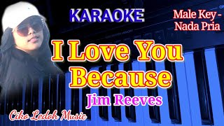 I LOVE YOU BECAUSEJim ReevesKARAOKEMale Key [upl. by Enilra]