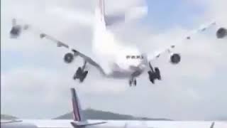 Plane flying like a bird national geographic shit meme [upl. by Walsh]