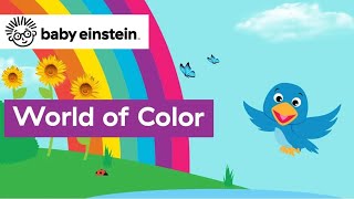 Exploring The World of Colors  Baby Einstein Classics  Learning Show for Toddlers  Kids Cartoons [upl. by Orpah874]