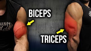 5 KILLER Biceps amp Triceps Exercises FULL BIG ARMS WORKOUT [upl. by Dulcle]