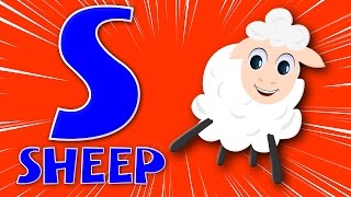 the phonics letter S song  alphabets song  ABC song  learn alphabet  childrens rhymes [upl. by Adav]