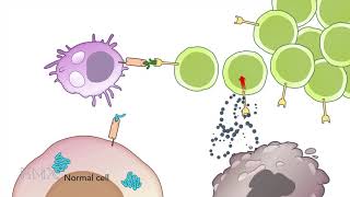 HMX Immunology  Course Preview [upl. by Mccourt]