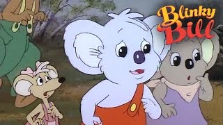 Blinky Bill  Blinky Bills Fire Brigade  S1E2 [upl. by Rosalinde]