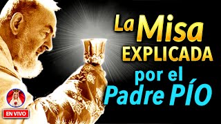 La MISA explicada por el PADRE PÍO  Charla de Formación en VIVO [upl. by Darill692]