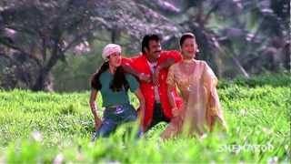 Pavithra Prema movie songs  Goo Gumma Goo song  Balakrishna Laila Roshini [upl. by Trebo]