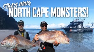 CRAZY fishing in a REMOTE location  S6 EP5 Far North NZ Part 2 [upl. by Sparke286]