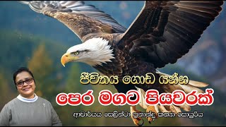 ජීවිතය ගොඩයන්න පෙරමගට පියවරක්  ආචාර්ය ගරු සෙලින්ටා ප්‍රනාන්දු කන්‍යා සොයුරිය  Meziya 2024 11 06 [upl. by Nirret]