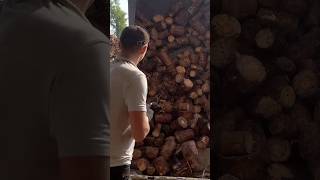 Sawdust in Seconds Amazing Wood Processing Machine at the Sawmill 🌲🔥 [upl. by Anneirb]