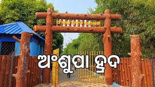 Ansupa Lake Cuttack  ଅଂଶୁପା ହ୍ରଦ କଟକ [upl. by Attegroeg]