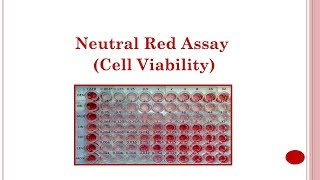 Neutral Red Assay Cell Viability 🔴 [upl. by Ellenehs143]