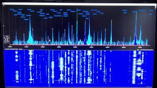 Setting up an SDRPlay Spectrum Window in N1MM [upl. by Duffie]