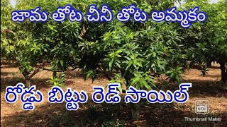 8 ACRES land for sale in anantapur near jest 23 km road bite JAMA amp mamidi borewells available [upl. by Yelena]