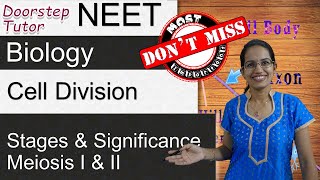 Cell Division  Meiosis I and Meiosis II  Stages amp Significance  NEET  AIIMS  MCAT [upl. by Grussing]