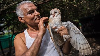 The Indian Doctors Who Created An Animal Ark  WILDEST ANIMAL RESCUES [upl. by Aseret395]