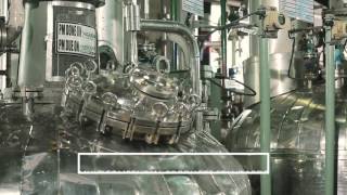 cGMP Manufacturing in Panoli India [upl. by Burford]