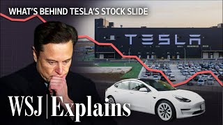 Tesla Stock’s Worst Year Ever Explained  WSJ [upl. by Kalindi]