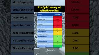 Bußgeldfalle Diese Fehler kosten dich richtig Geld bei der nächsten Polizeikontrolle 💰🚔 [upl. by Nileuqcaj]