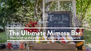 The Ultimate DIY Mimosa Bar [upl. by Arriat]