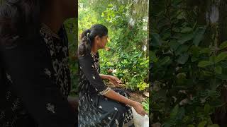 Ixora plant propagation best flowering in outdoorgardenup gardening garden gardendesign [upl. by Liatris]