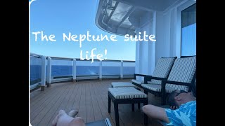 Neptune Suite tourcabin 4209 Holland America Rotterdam April 2024 [upl. by Albric973]