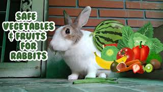 Safe Foods For Rabbits [upl. by Megan578]